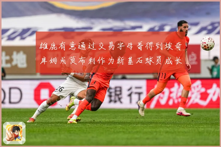 雄鹿有意通过交易字母哥得到埃奇库姆或莫布利作为新基石球员成长观察：最新赛事动态与深度分析